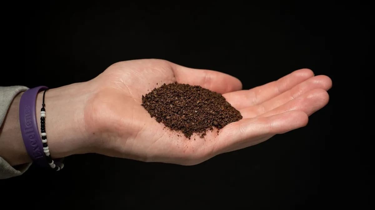 Investigación de la UGR sobre el aprovechamiento de posos de café