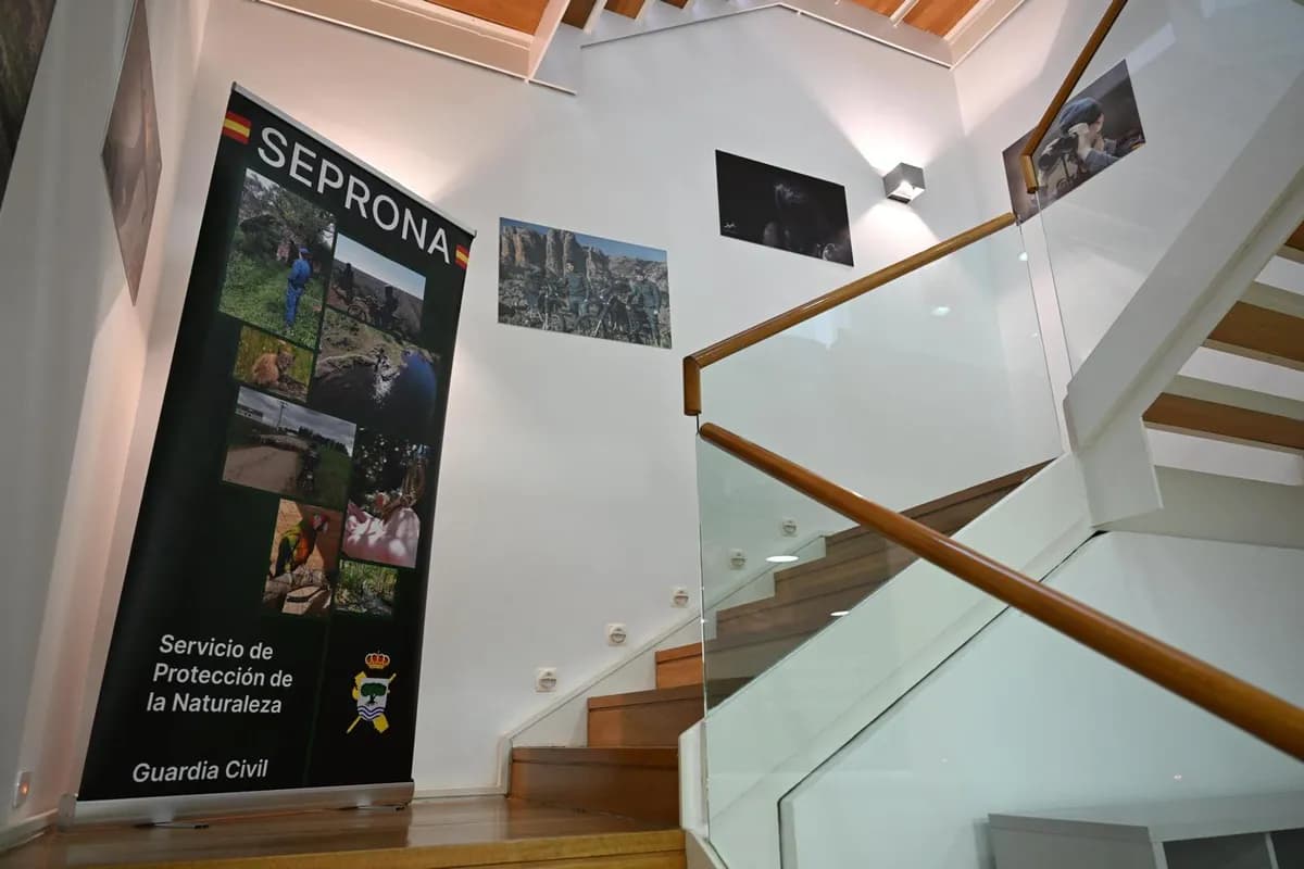 La Guardia Civil lanza un instituto para combatir delitos ambientales