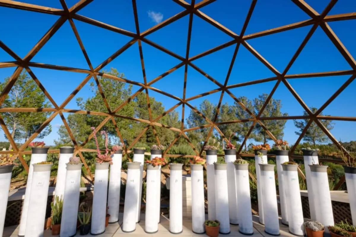 Explora BiBo Park en Ibiza: naturaleza y sostenibilidad