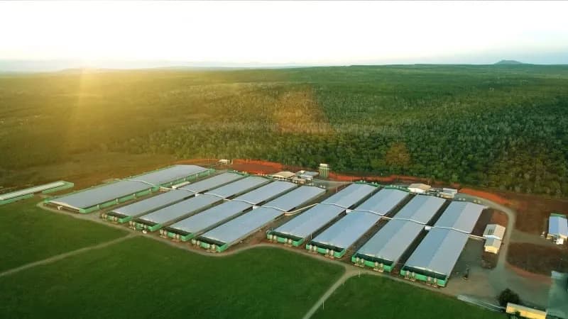 Greenfeed impulsa la sostenibilidad y la reducción de emisiones
