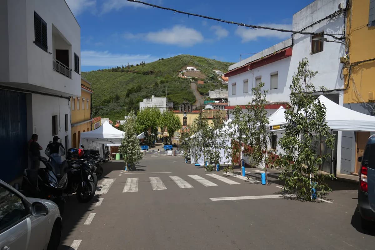 Montaña Alta celebra la Fiesta del Queso este domingo