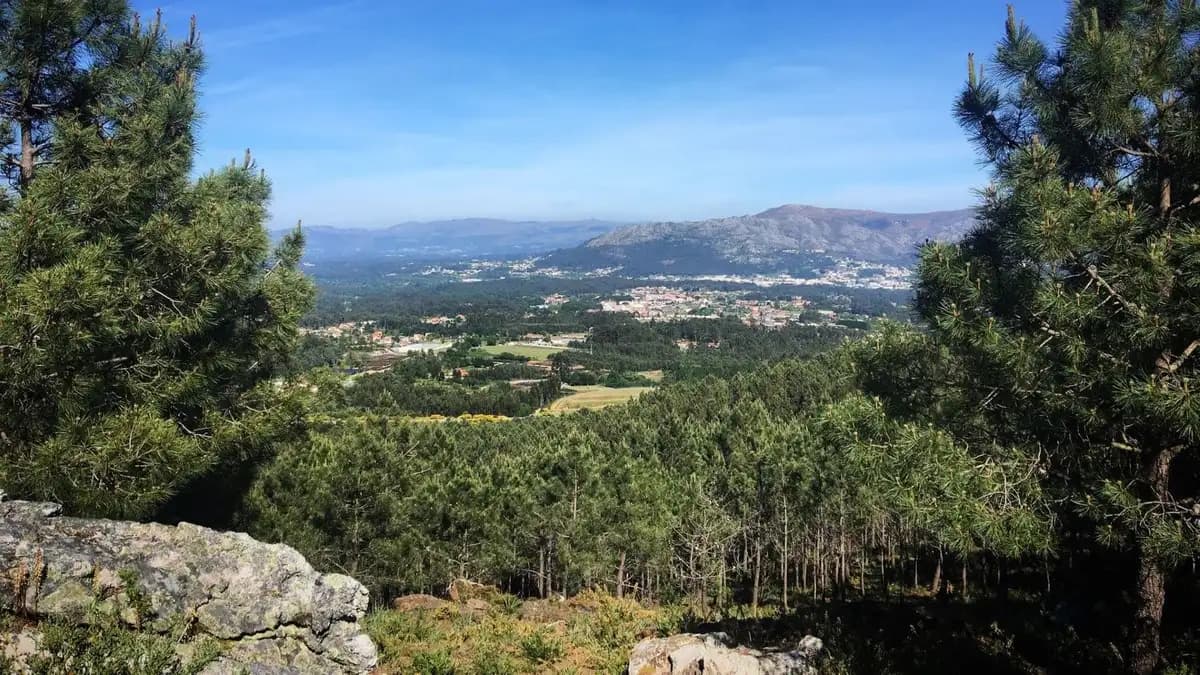 Galicia propone áreas de restauración ecológica para preservar ecosistemas degradados
