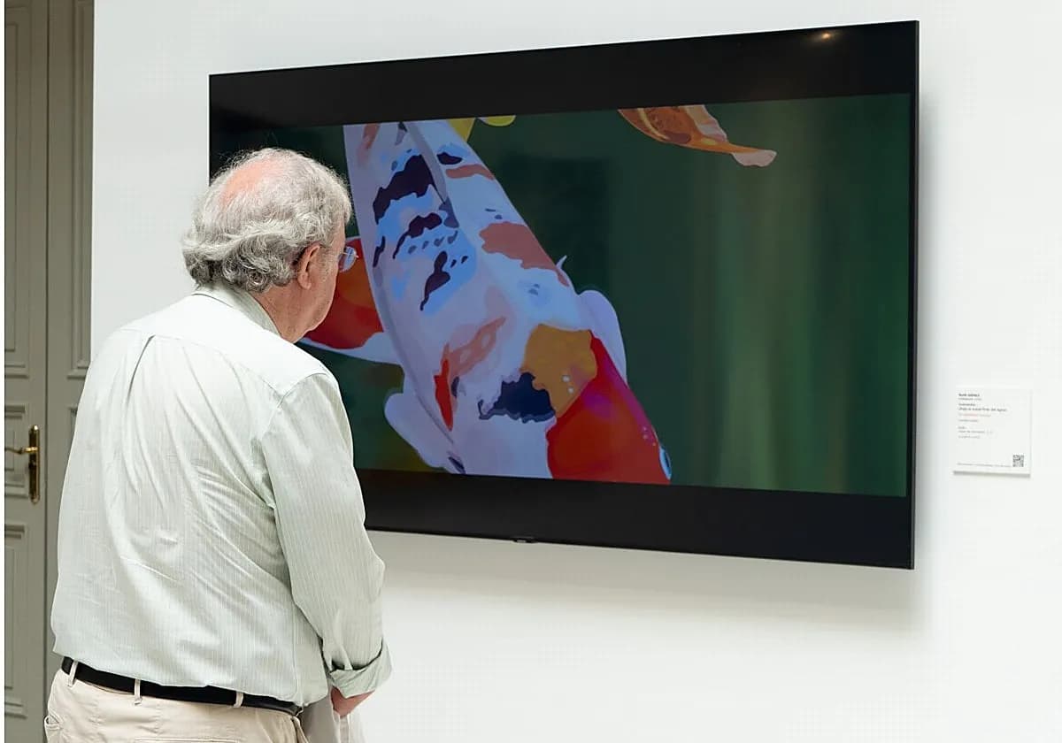 La colección de arte del BBVA exhibe obras en el Casco Viejo