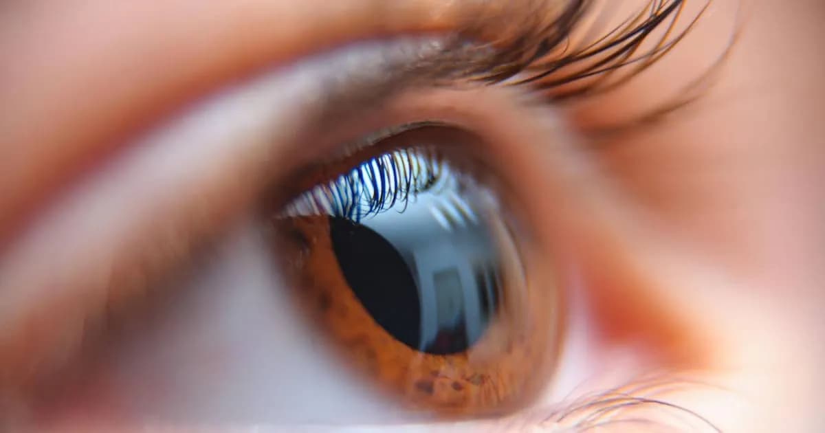Investigadores logran activar la regeneración de la retina en mamíferos