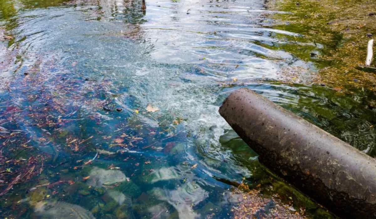Estudiante convierte agua contaminada en energía y gana premio