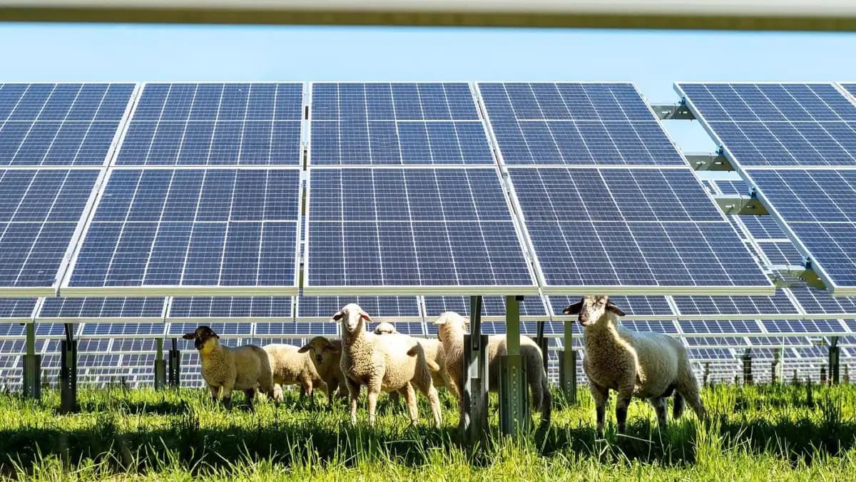 Ahorro de 17.021 millones en electricidad gracias a la energía solar fotovoltaica en España