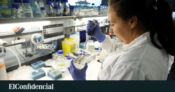 Compuesto natural mejora la memoria en modelos de Alzheimer