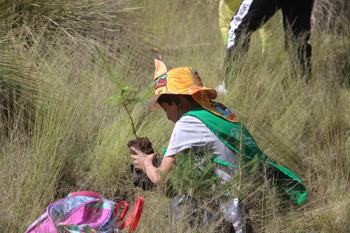 Amecameca reforesta 6 mil árboles en jornada comunitaria