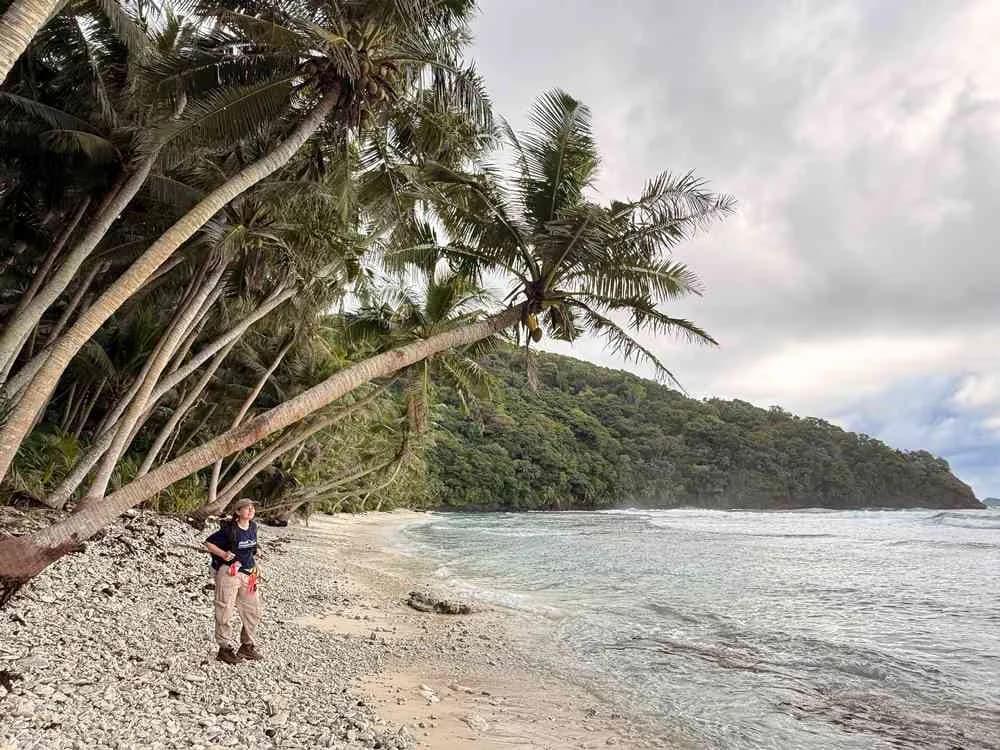 Recuperación de la vida silvestre en la isla Nu’utele tras la eliminación de ratas y cerdos invasores