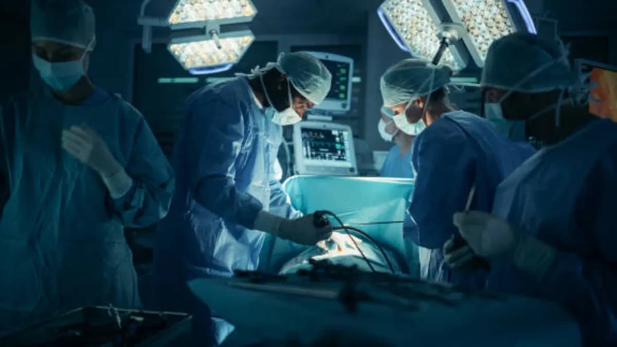 Avance en trasplantes permite a algunos pacientes dejar la medicación de por vida