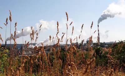 Inversión en conservación de la naturaleza, clave para la economía