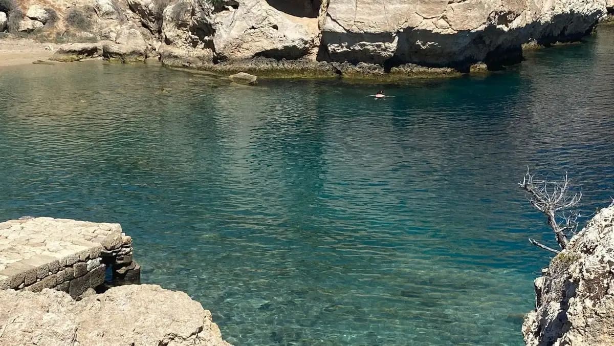 Cataluña y California proponen refugios para la biodiversidad mediterránea