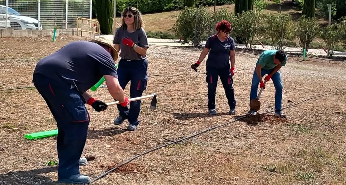 Linares impulsa la sostenibilidad con 200 nuevos árboles