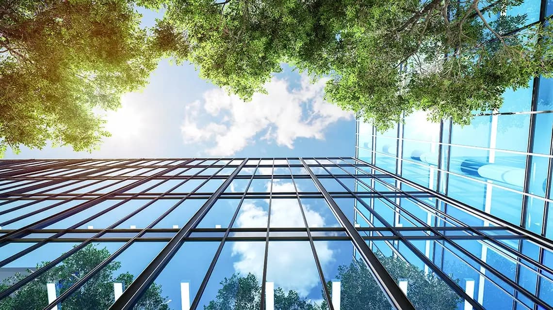 La economía verde: un modelo sostenible que genera empleo y bienestar