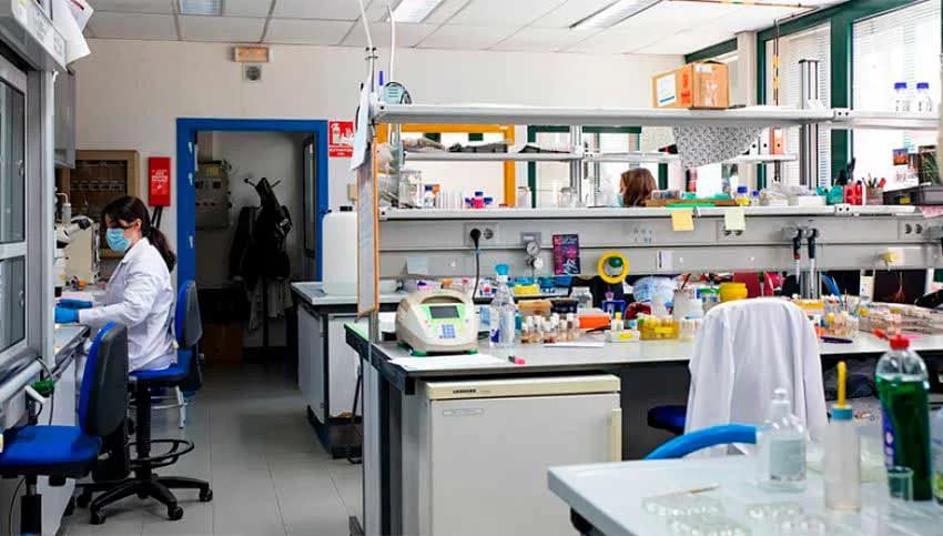 Andalucía destina 9,65 millones para investigación básica