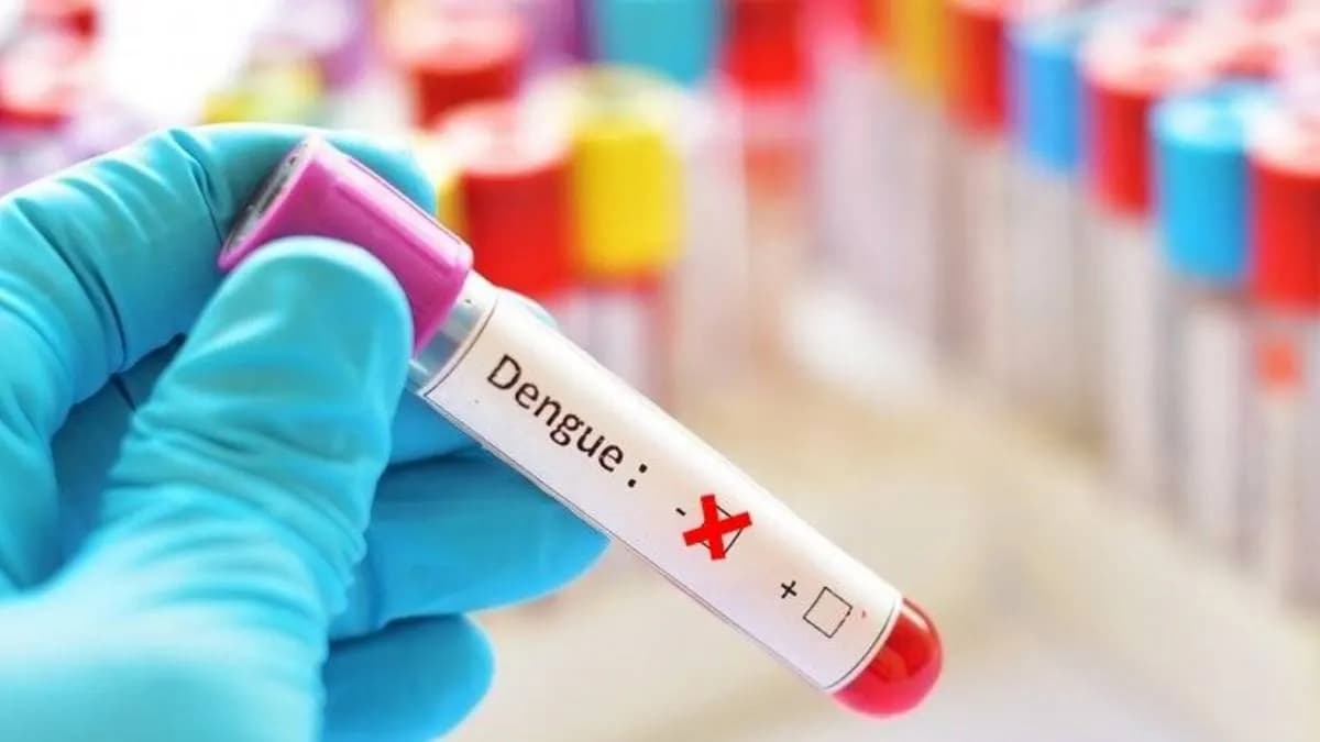 La Rioja sin casos de dengue ni chikungunya en 2023