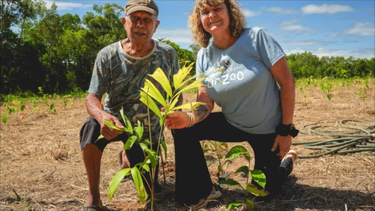 Transformación de un campo de caña en un bosque tropical protegido en Queensland