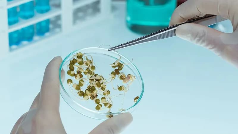 Palencia lanza la cátedra One Health para salud y ecosistemas