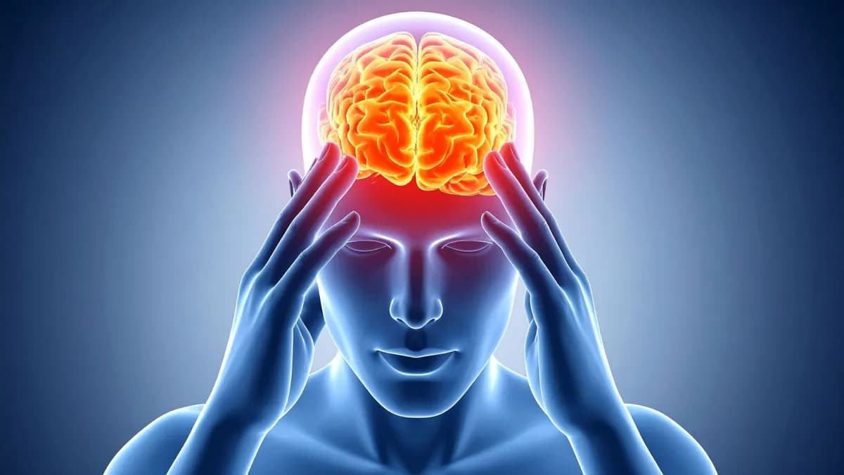 Investigadores hallan proteína que acelera el envejecimiento cerebral