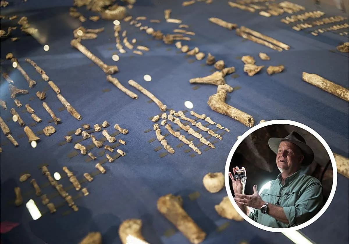 Descubrimiento sorprendente: todas las mujeres de Homo naledi
