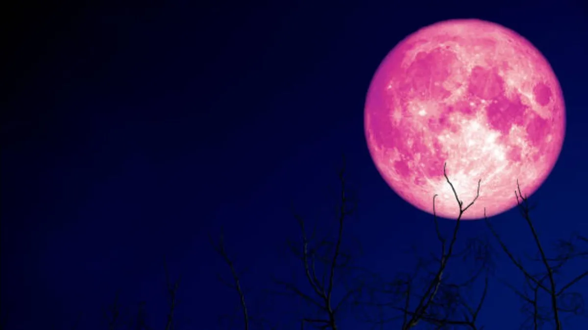 Este lunes, disfruta de la espectacular Luna de Fresa