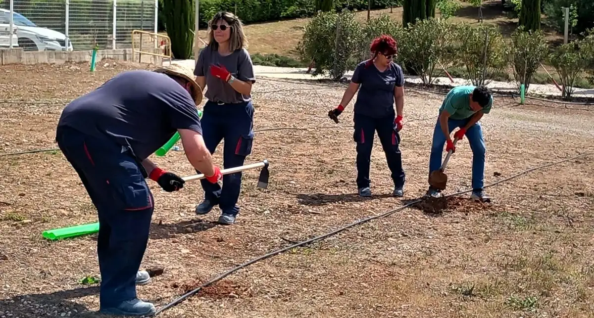 Linares impulsa la sostenibilidad con 200 nuevos árboles