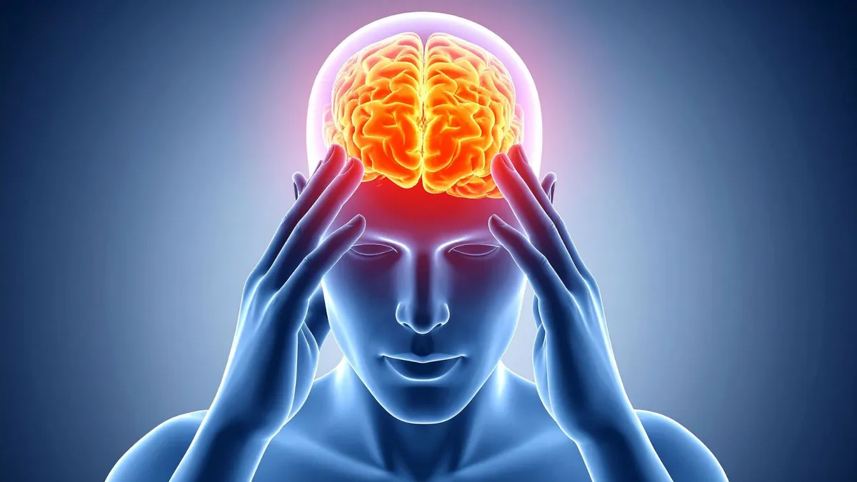 Investigadores hallan proteína que acelera el envejecimiento cerebral