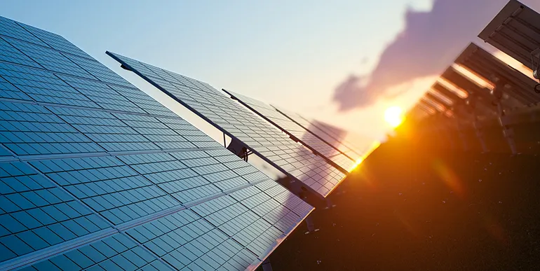 Zamora Company avanza hacia la sostenibilidad con energías renovables